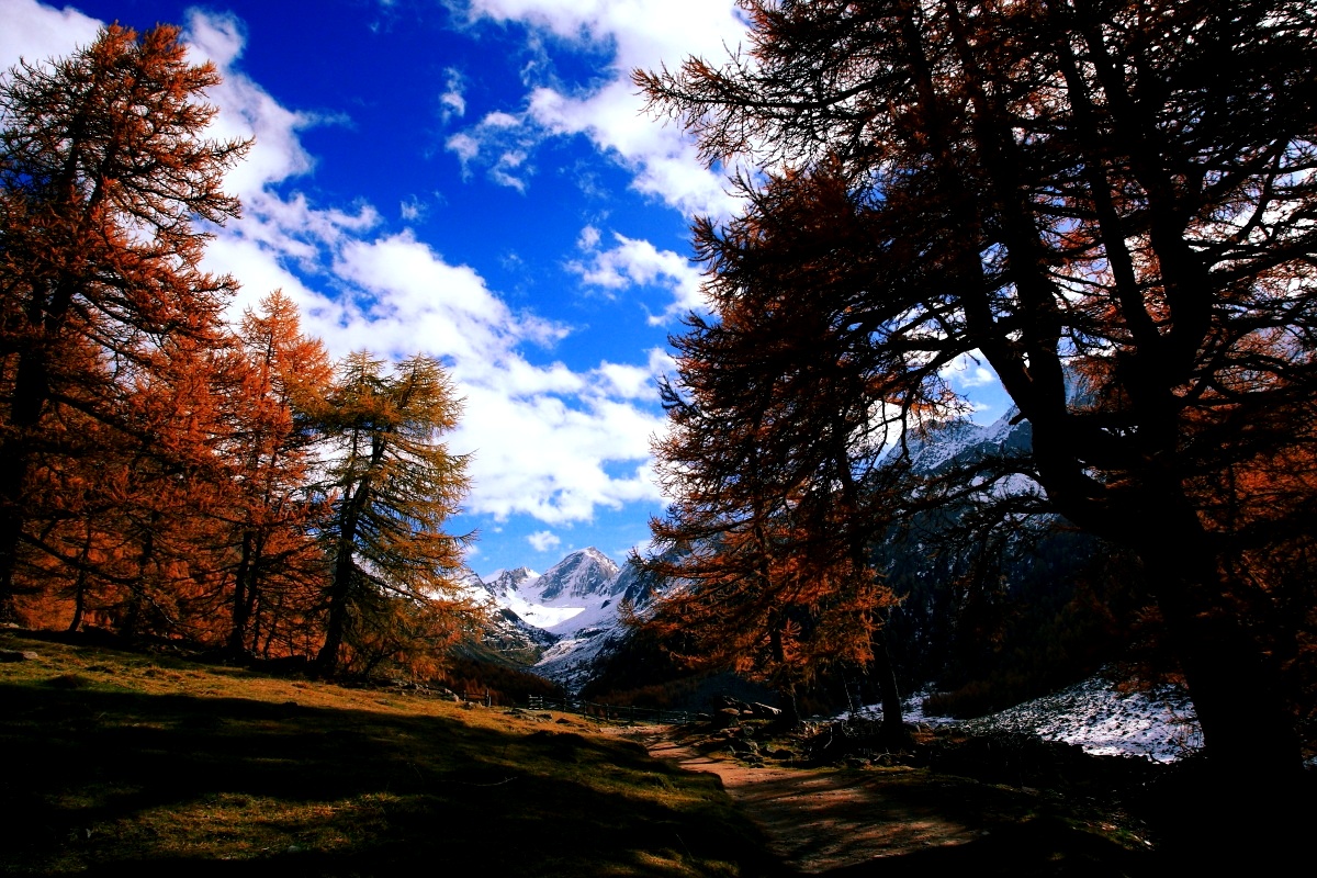 Homepage