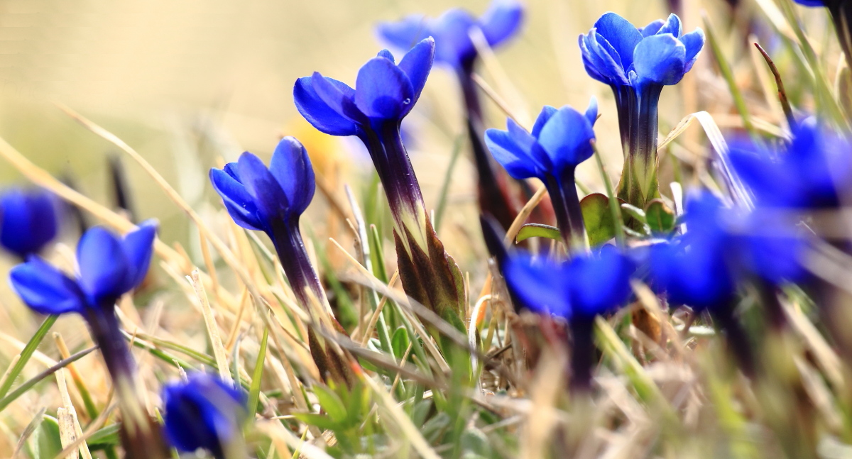 Aria di primavera