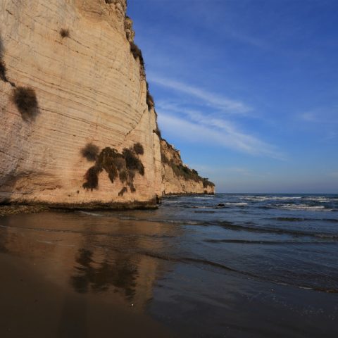 Gargano